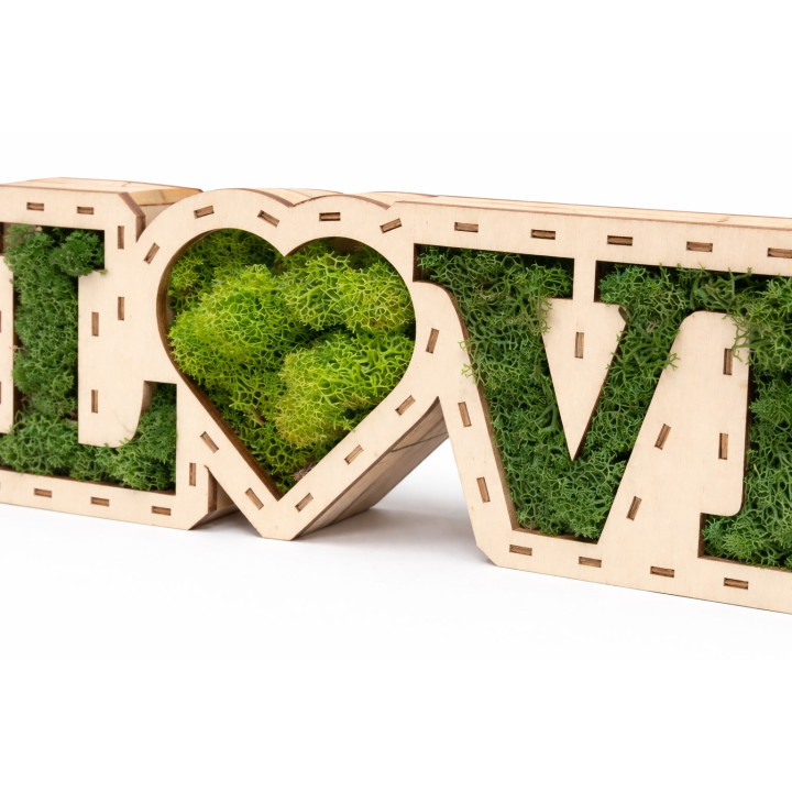 LOVE Deko mit konserviertem Naturmoos 40x20 cm